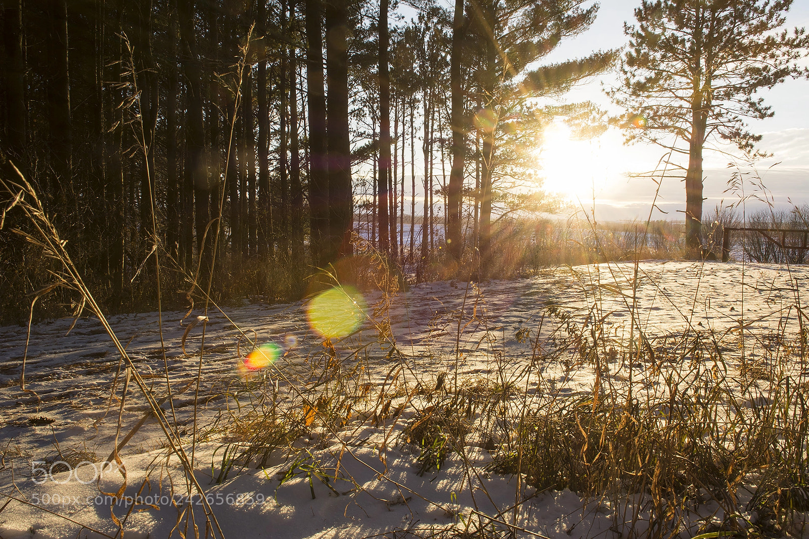 Nikon D7100 sample photo. Sunset @ whitetail photography