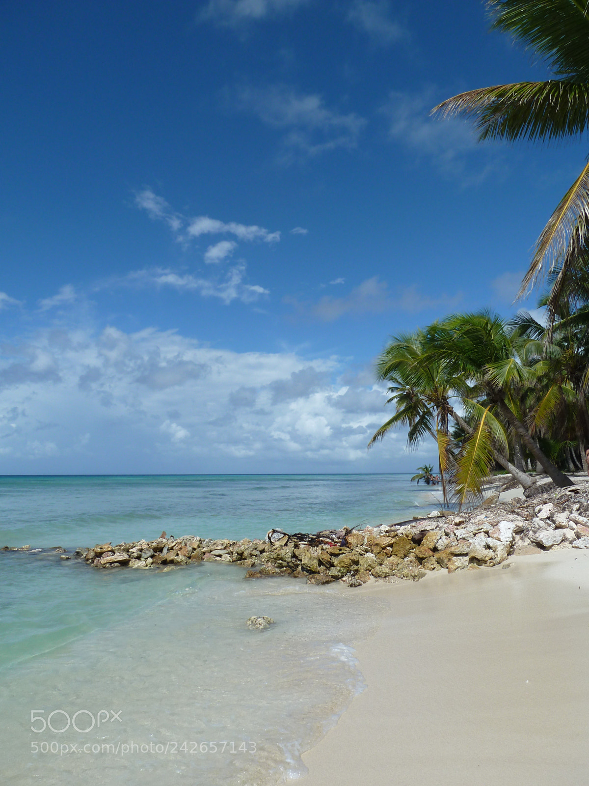 Panasonic Lumix DMC-ZS5 (Lumix DMC-TZ8) sample photo. Isla saona beach photography