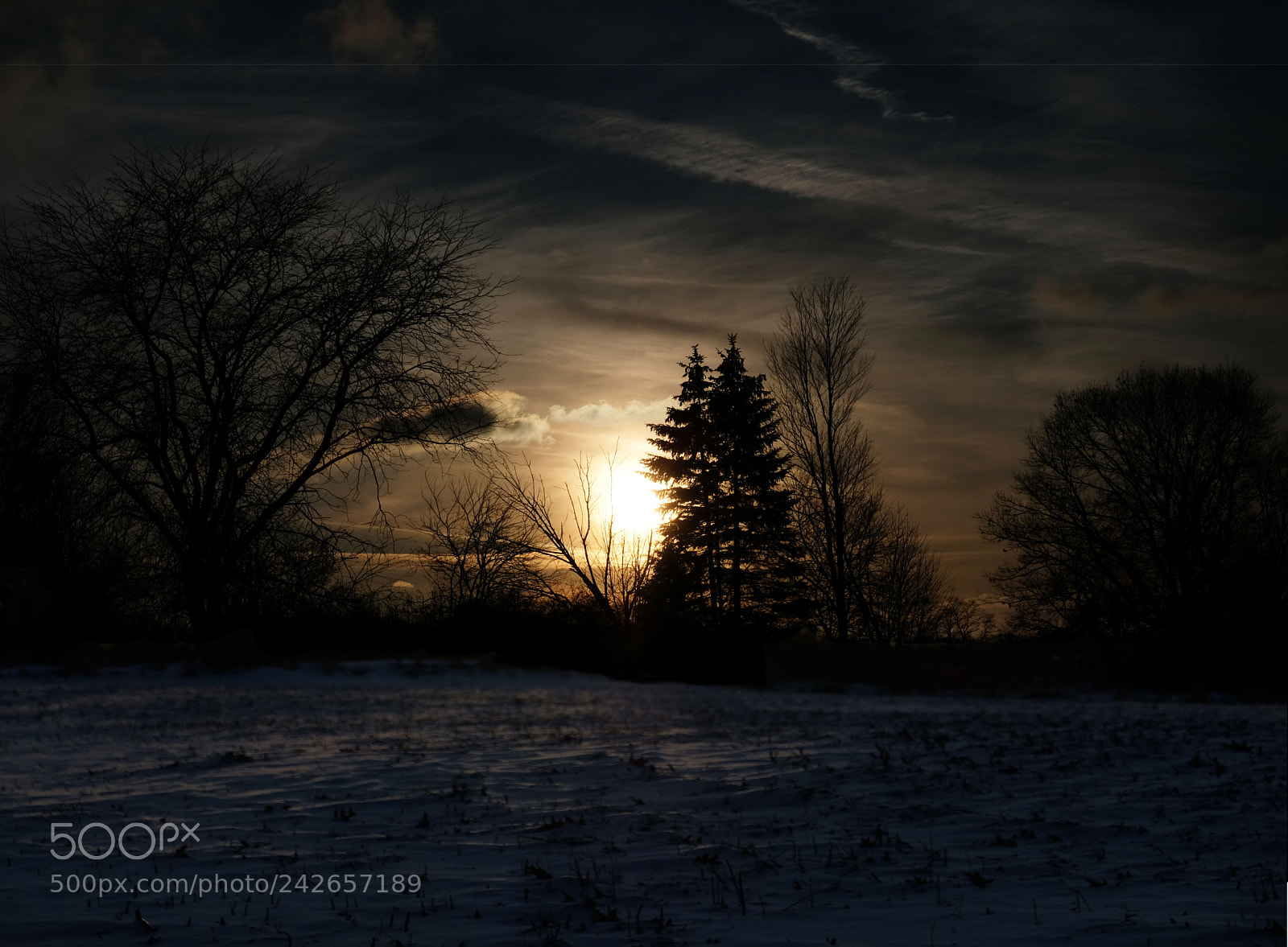 Fujifilm X-T2 sample photo. Sunset over farm field photography