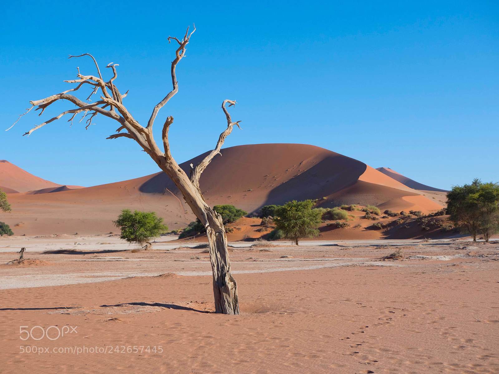 Panasonic Lumix DMC-GX8 sample photo. Namibian desert photography