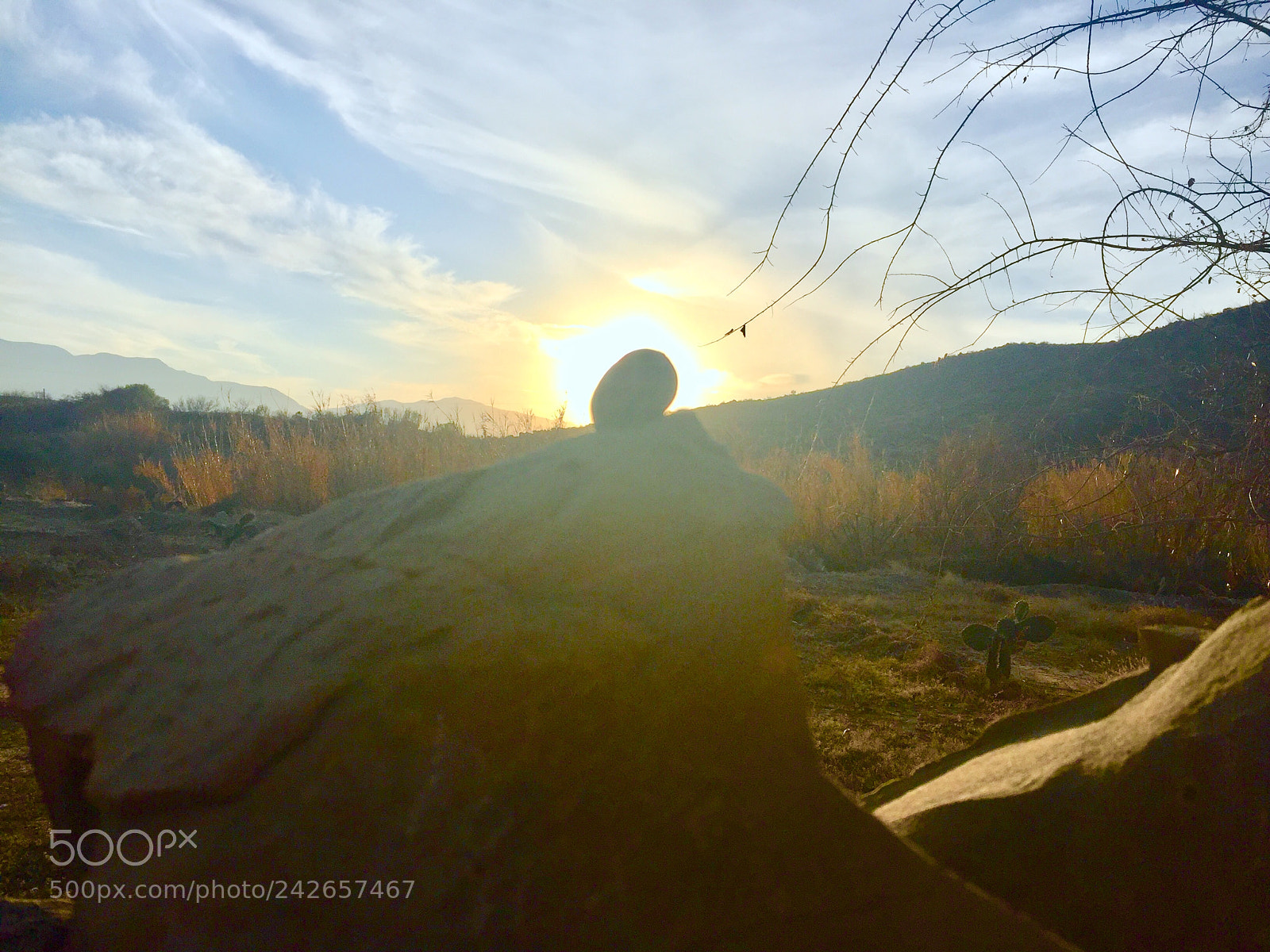 Apple iPhone 6 sample photo. Walnut among the rocks photography
