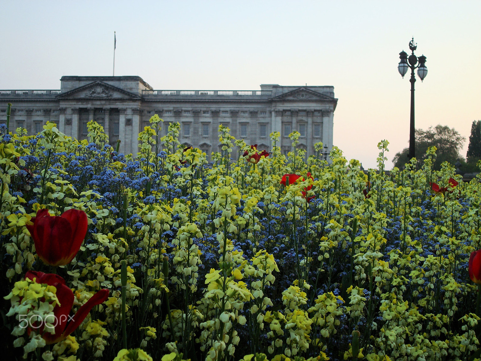 Sony DSC-W80 sample photo. Buckingham palace photography