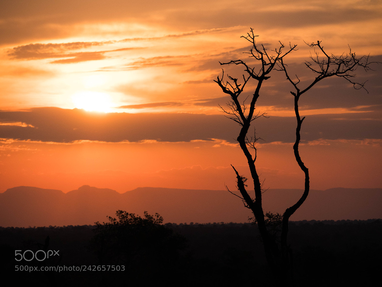 Panasonic Lumix DMC-GX8 sample photo. South african sunset photography