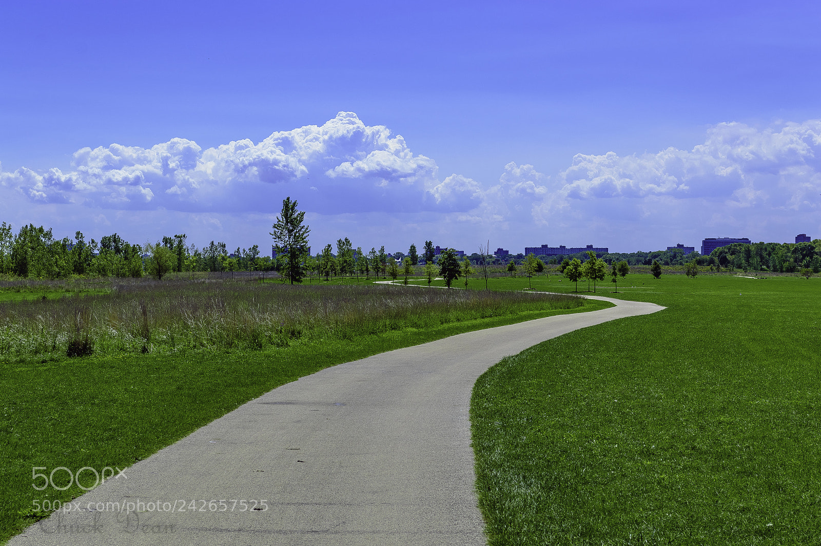 Nikon D3200 sample photo. Urban paths photography