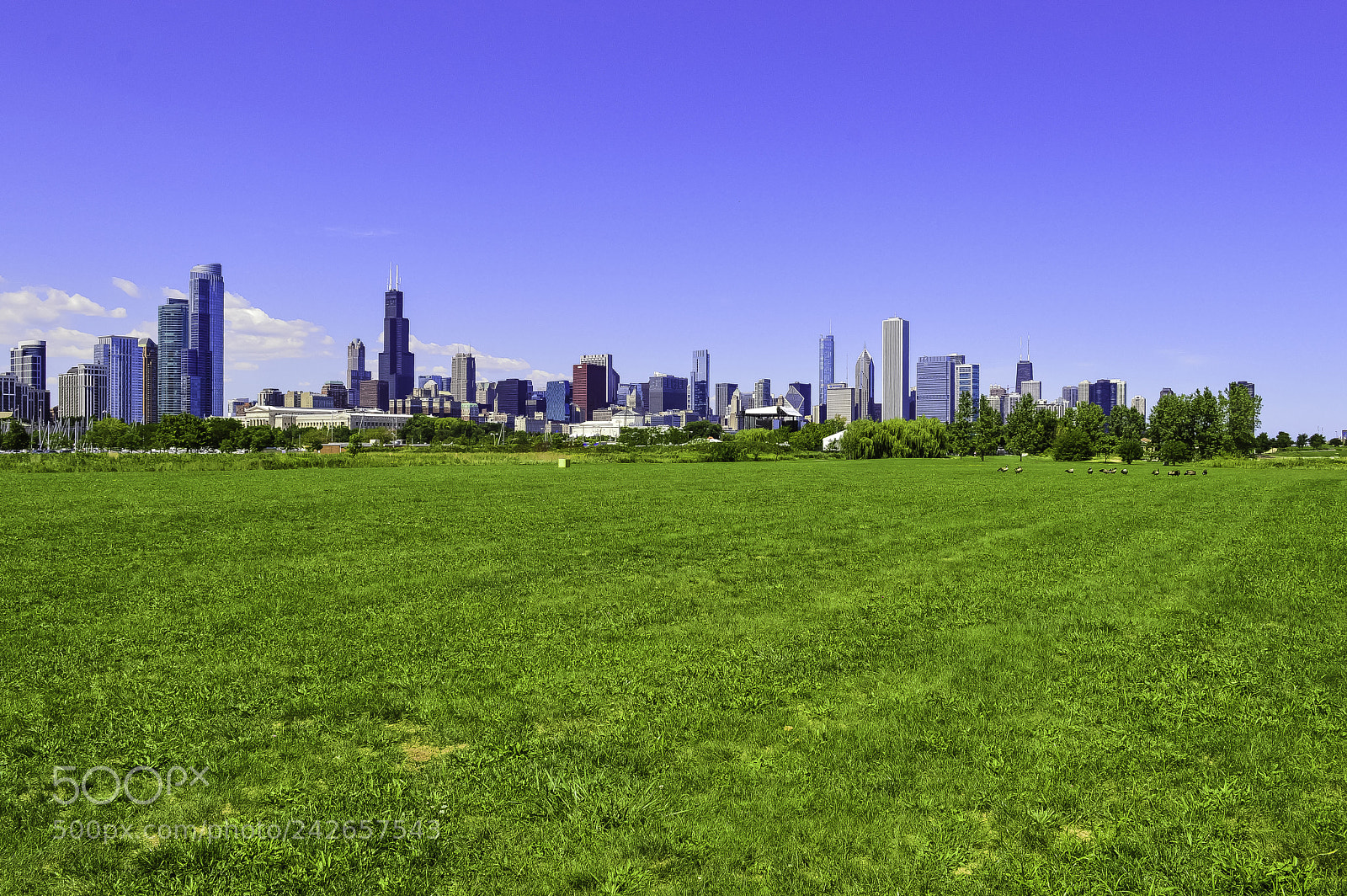 Nikon D3200 sample photo. Urban paths photography