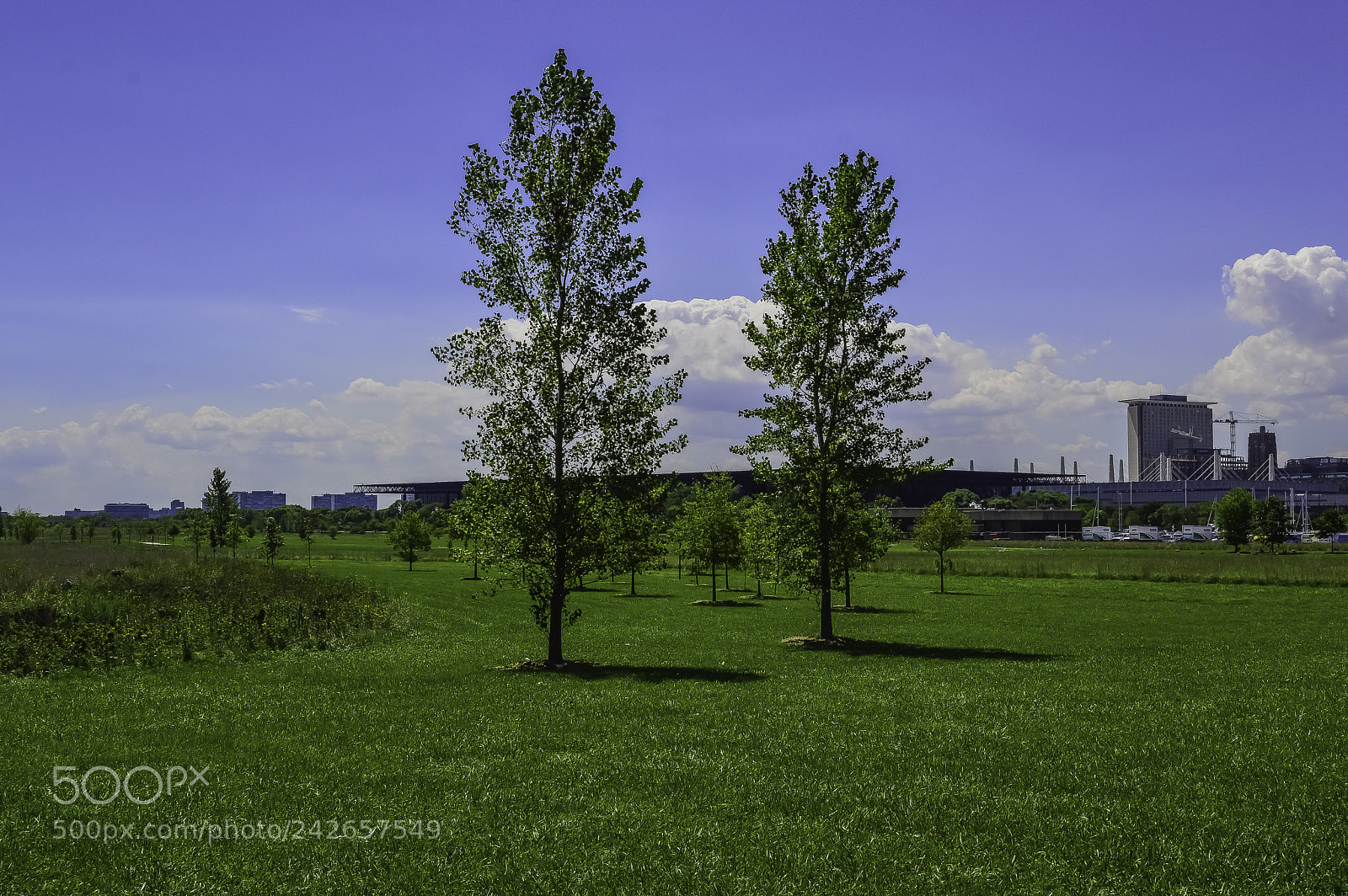 Nikon D3200 sample photo. Urban paths photography