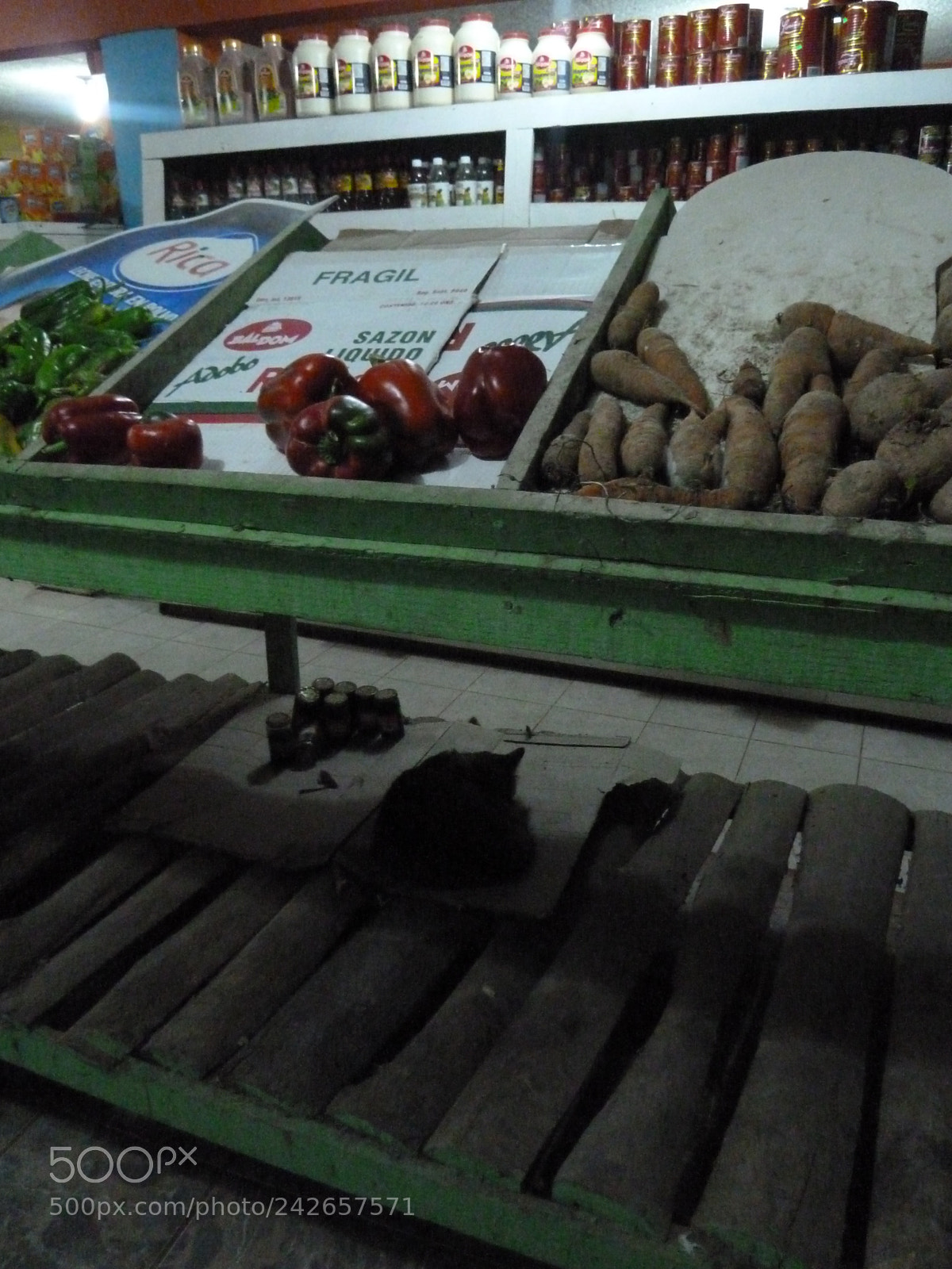 Panasonic Lumix DMC-ZS5 (Lumix DMC-TZ8) sample photo. Gato en el supermercado photography
