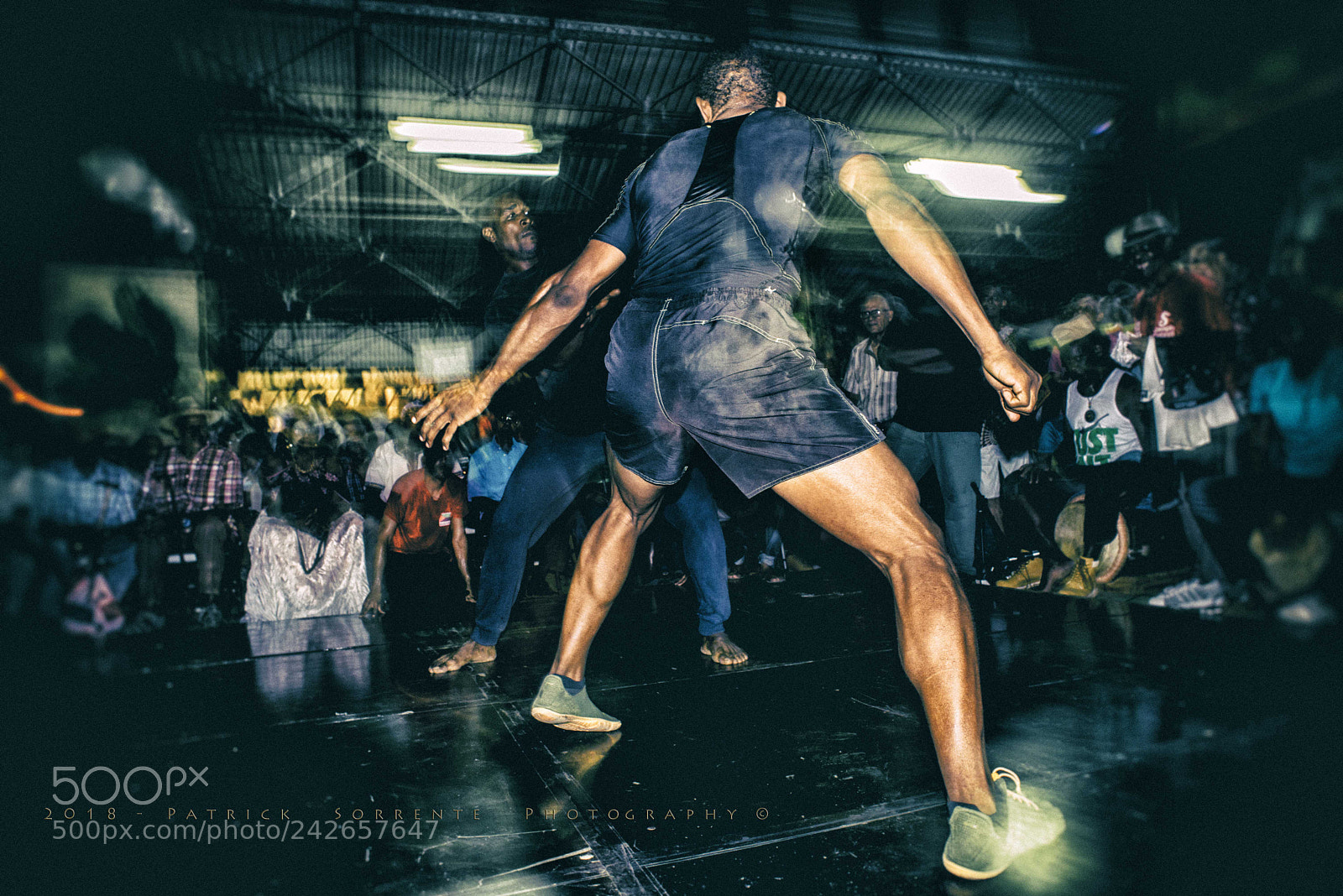Nikon D600 sample photo. Danmyé dangéré # 4585 photography