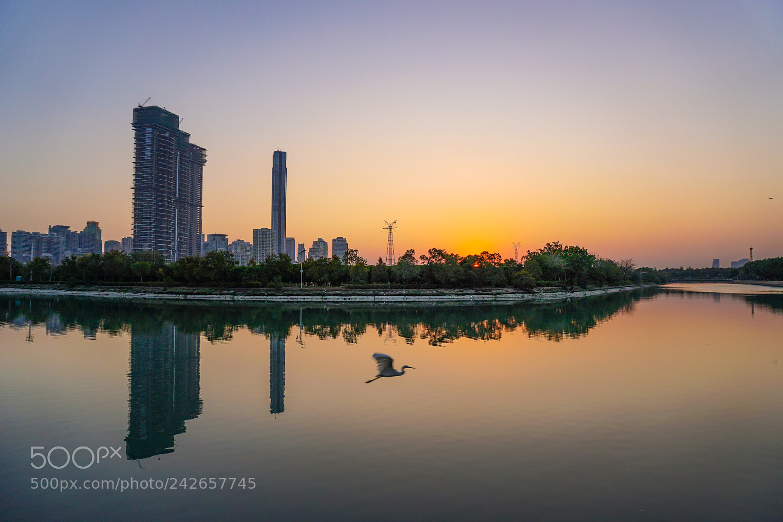 Sony a6500 sample photo. Sunset and egret photography