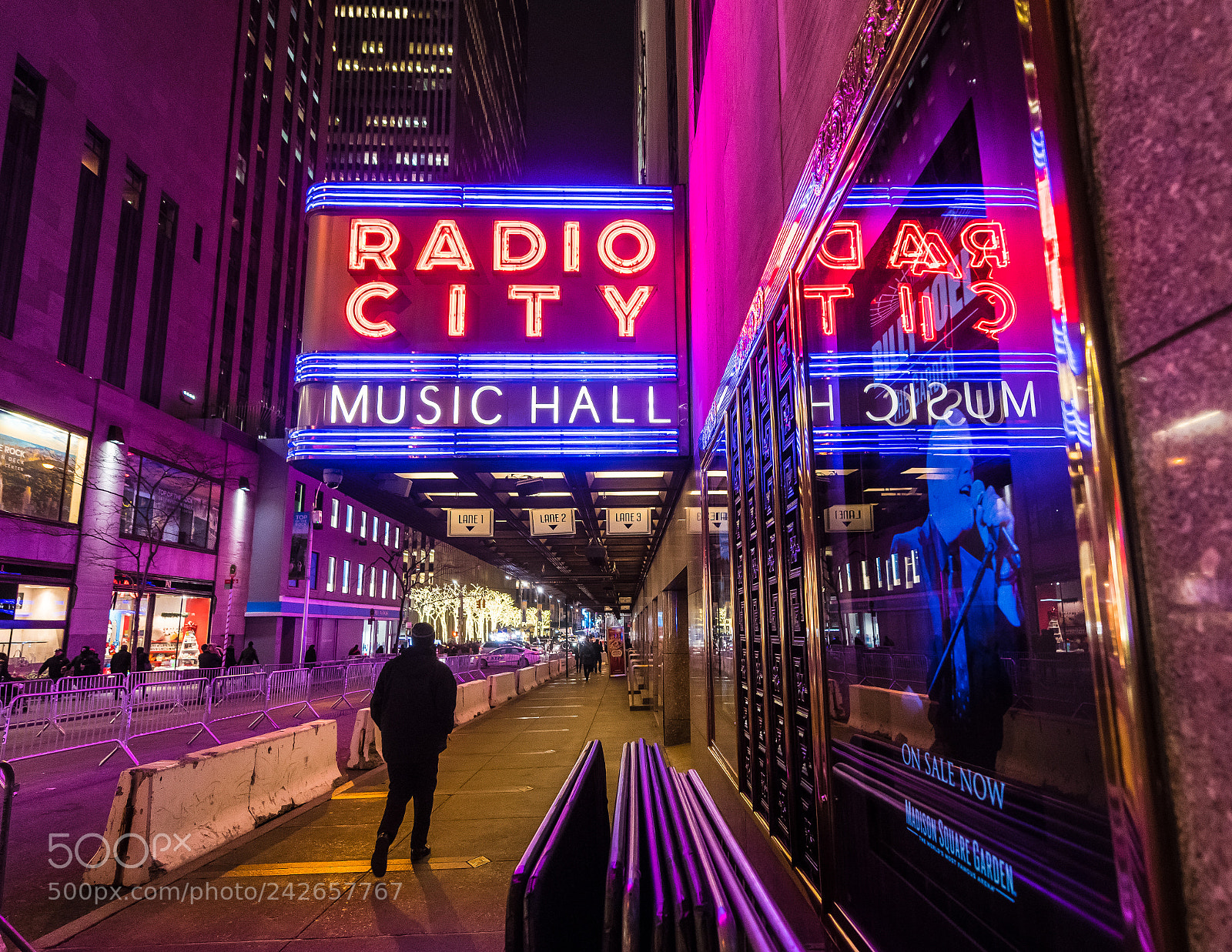 Nikon D850 sample photo. Radio city music hall photography