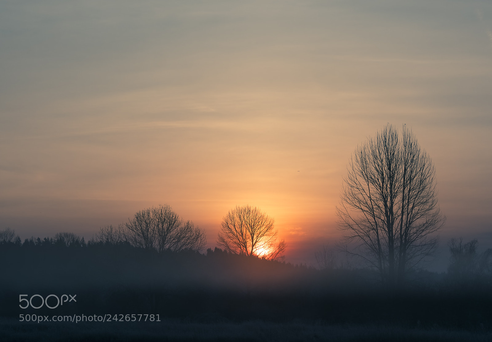 Fujifilm X-T2 sample photo. Sunrise foggy silhouettes photography