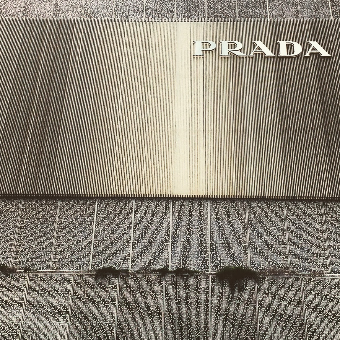 Motorola MotoG3 sample photo. Prada photography
