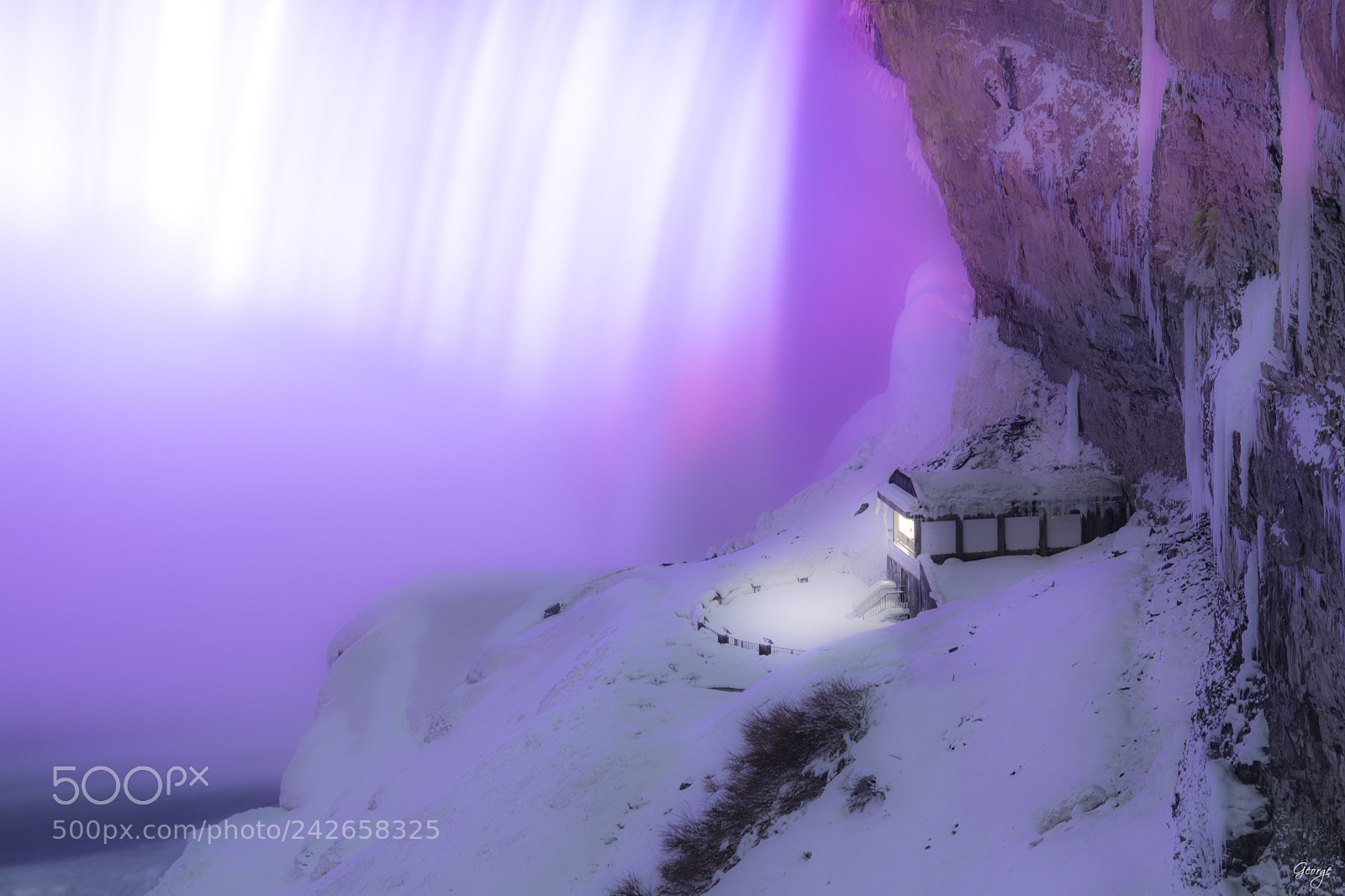 Nikon D7100 sample photo. Frozen fall photography