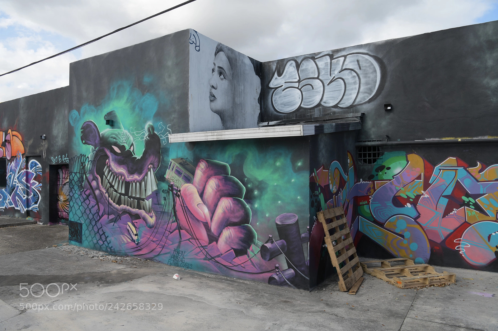 Nikon D850 sample photo. Wynwood, miami, street art photography