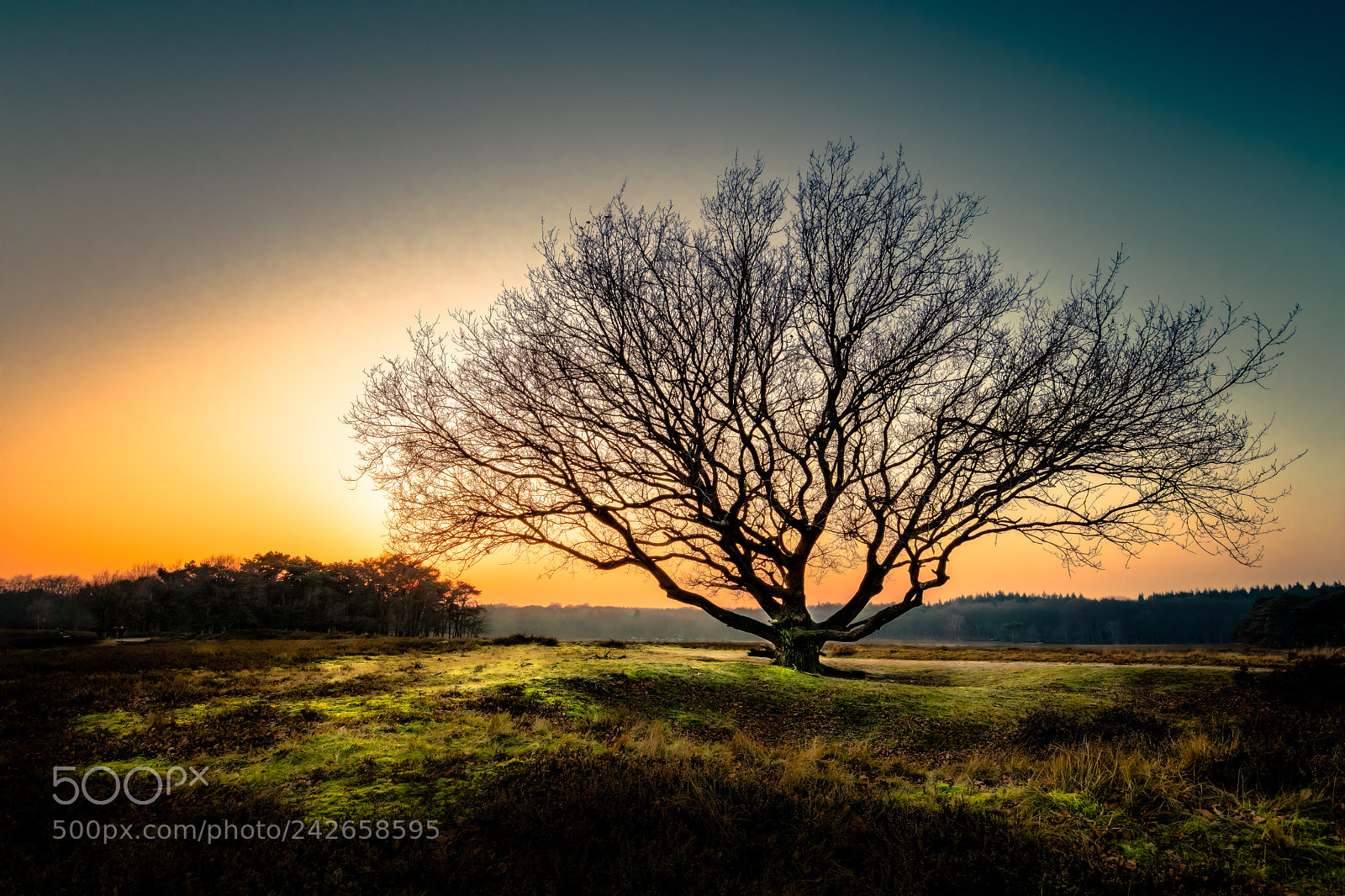 Canon EOS 5DS R sample photo. Last light of the photography