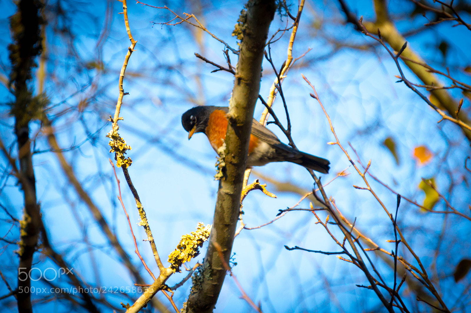 Nikon D3200 sample photo. Something's up... photography