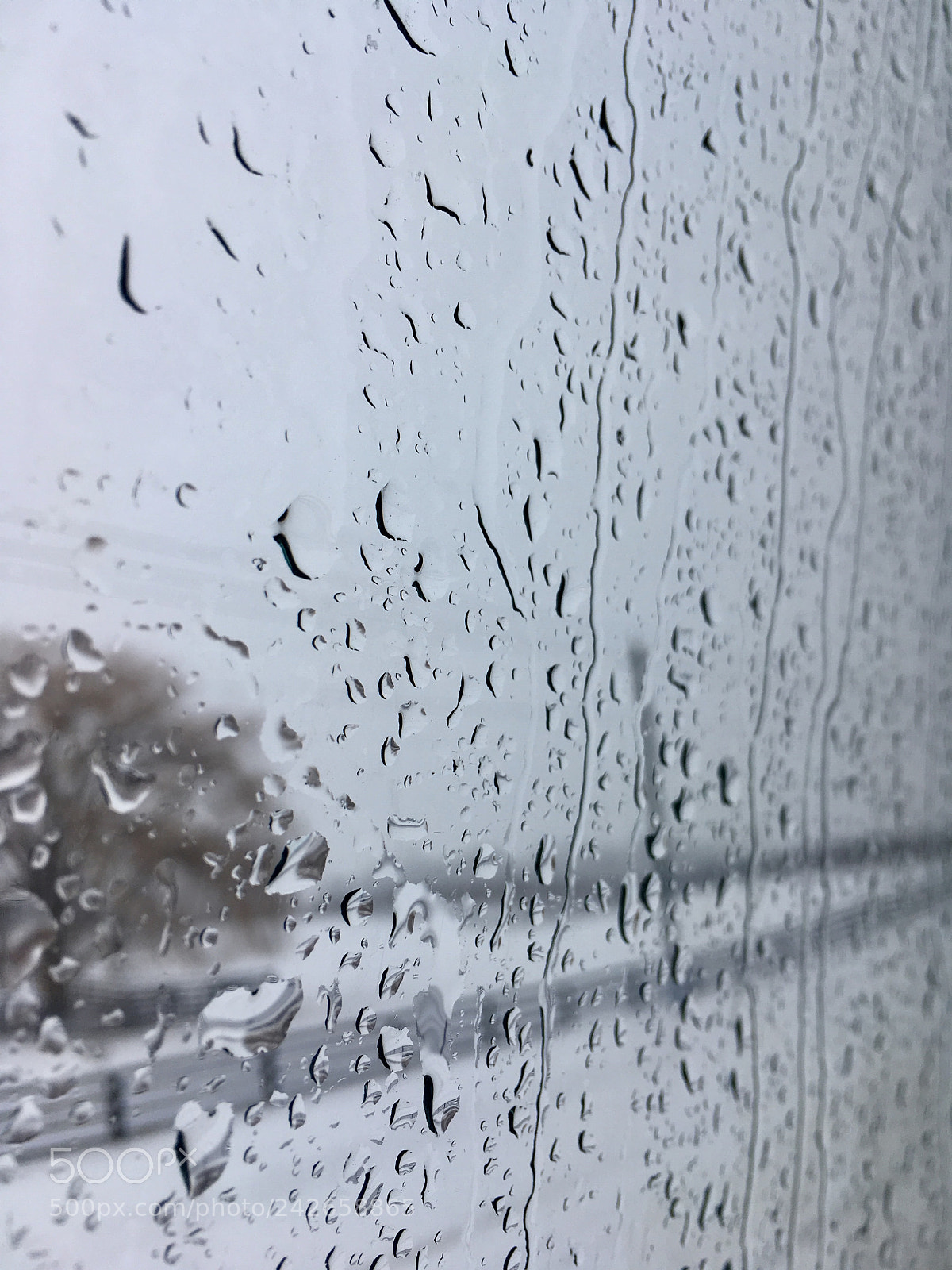 Apple iPhone SE sample photo. Canadian wet winters photography