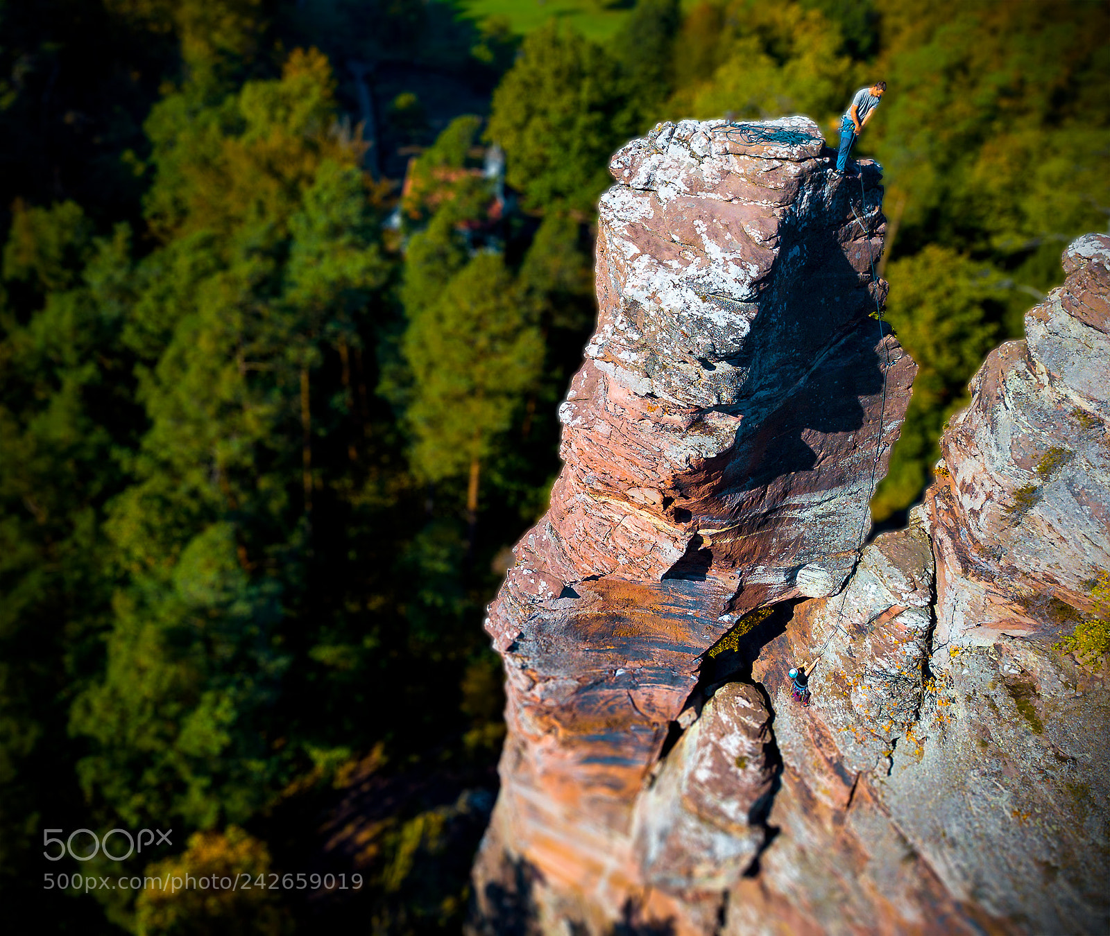 DJI FC220 sample photo. Hold on! photography