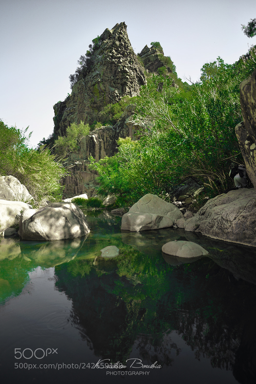 Nikon D600 sample photo. Reflection of montain photography