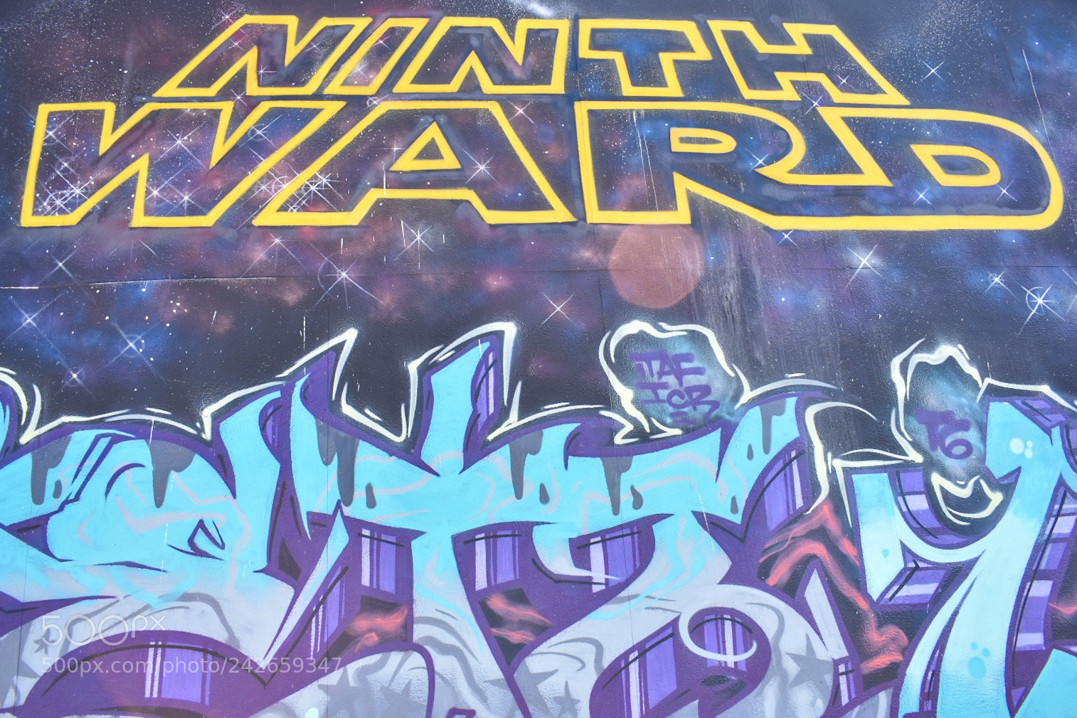 Nikon D3400 sample photo. Strong in the force photography
