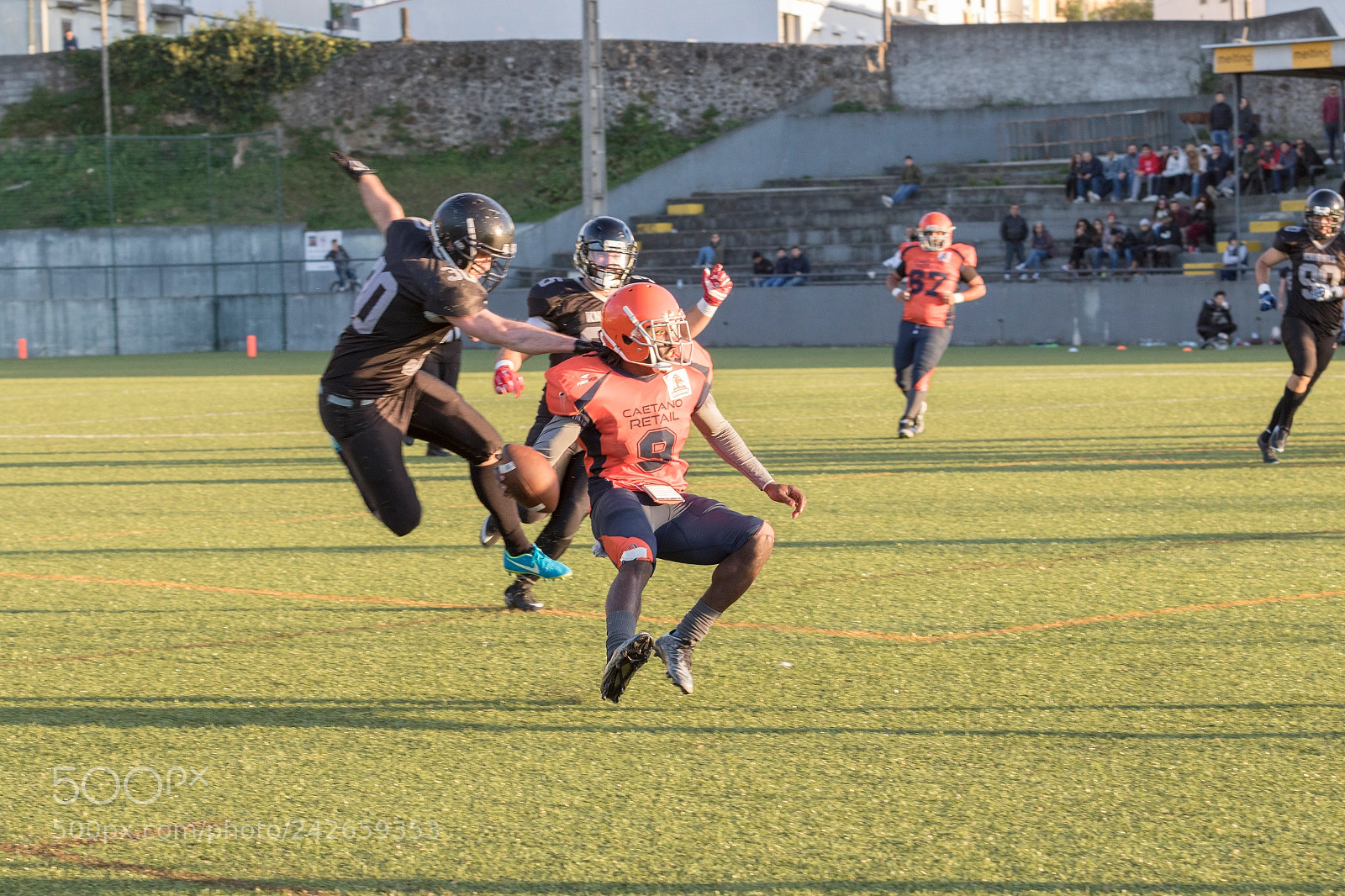 Canon EOS 7D Mark II sample photo. Portuscale dragons photography
