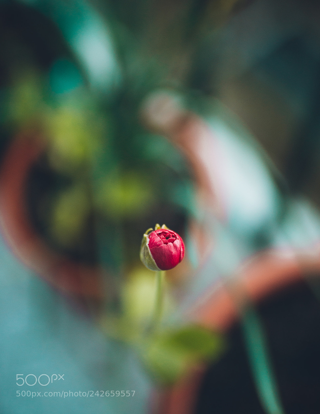 Nikon D610 sample photo. Untitled photography