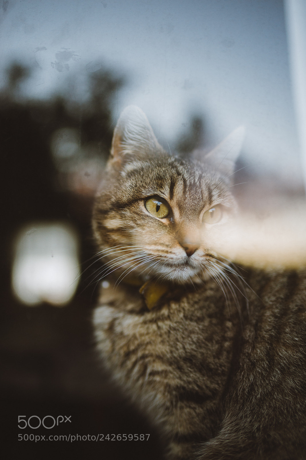 Nikon D610 sample photo. Untitled photography