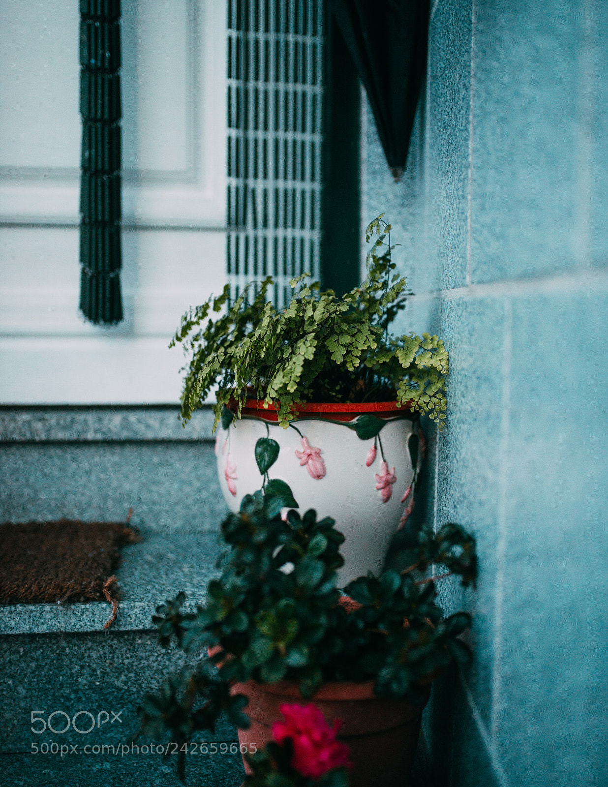Nikon D610 sample photo. Untitled photography