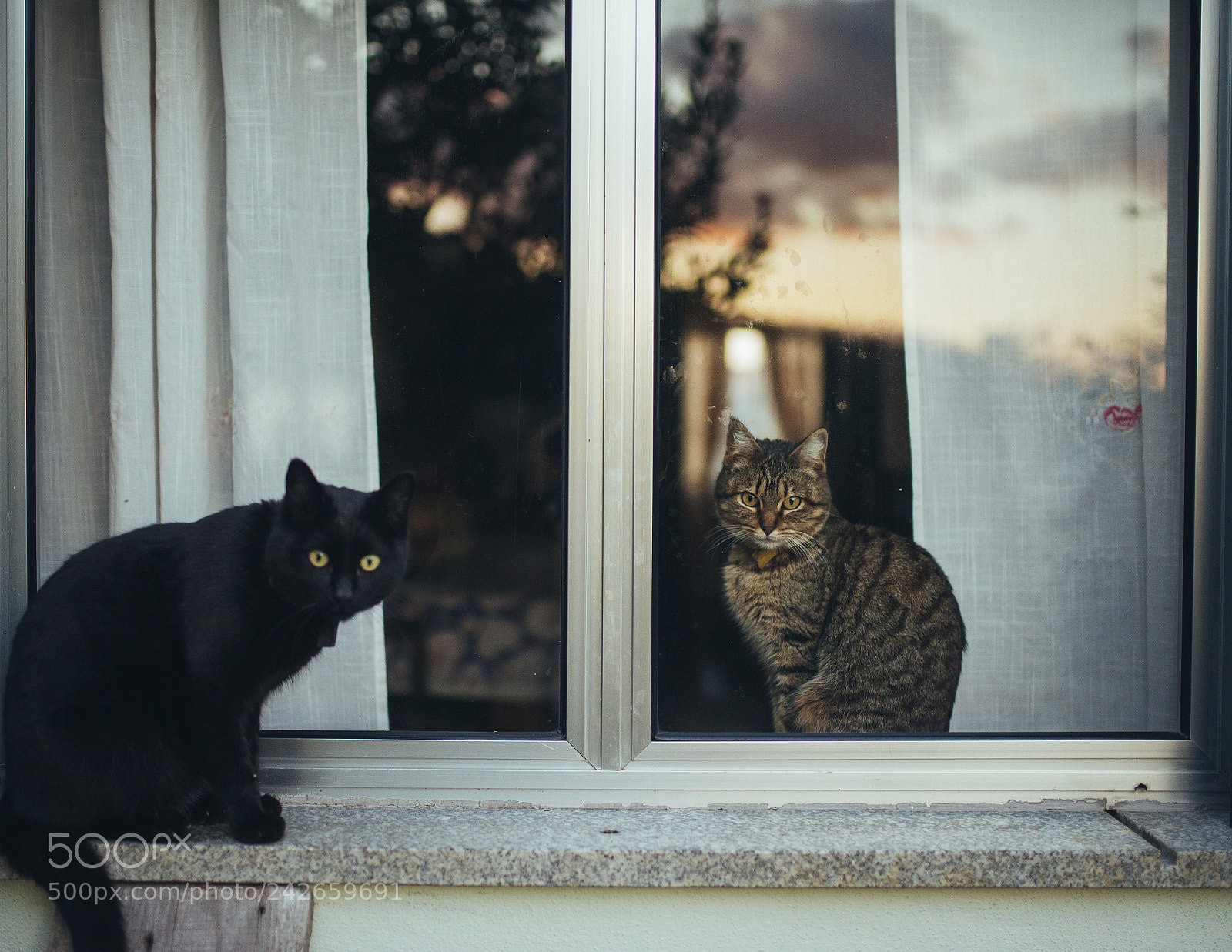 Nikon D610 sample photo. Untitled photography