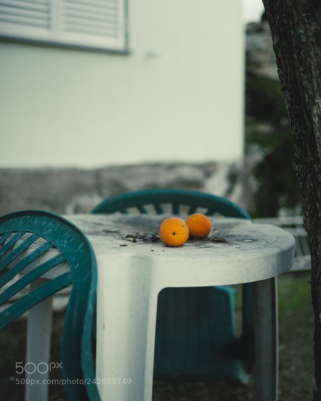 Nikon D610 sample photo. Untitled photography