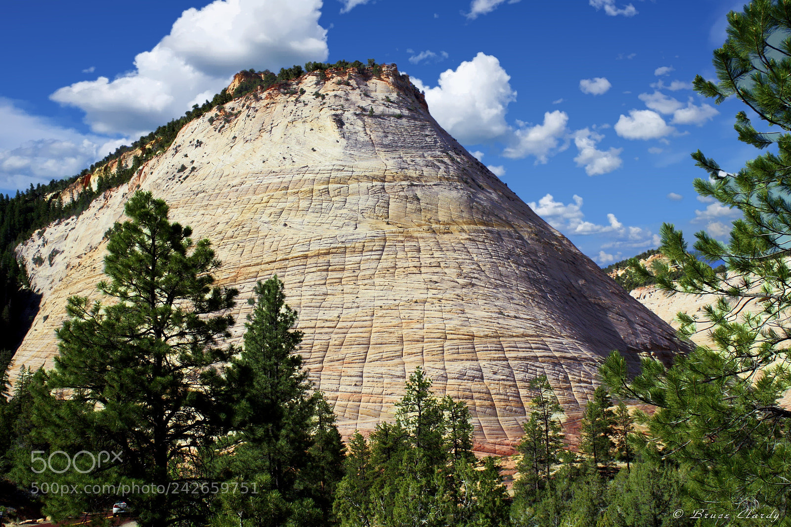 Canon EOS 1000D (EOS Digital Rebel XS / EOS Kiss F) sample photo. Checkerboard mesa portrait photography