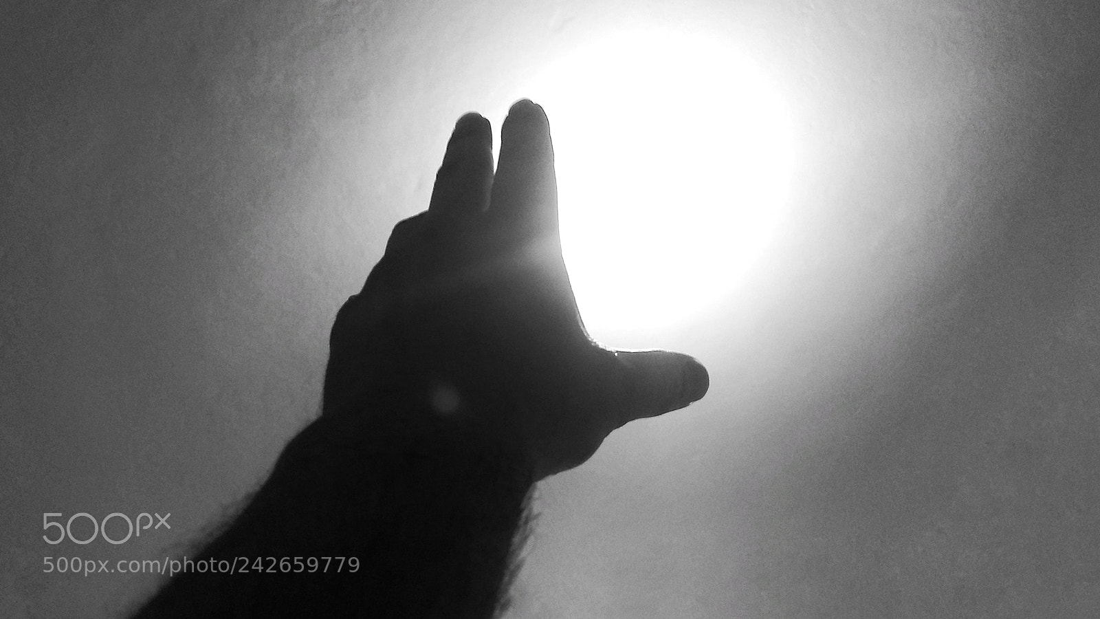 Motorola Moto G (5) Plus sample photo. Em busca de luz photography