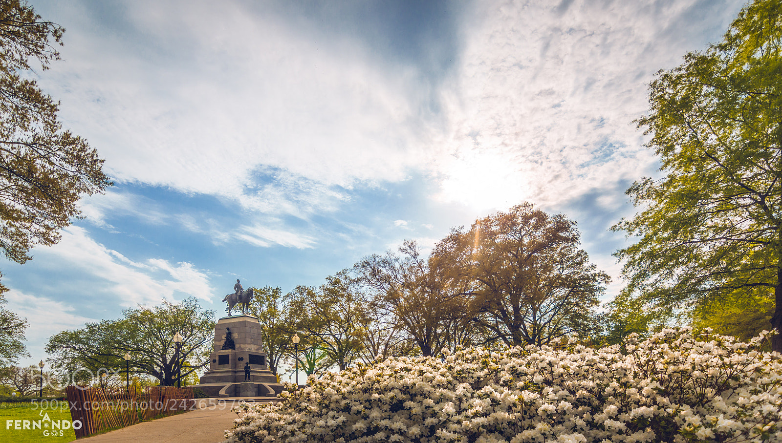 Nikon D7200 sample photo. General william tecumseh sherman photography
