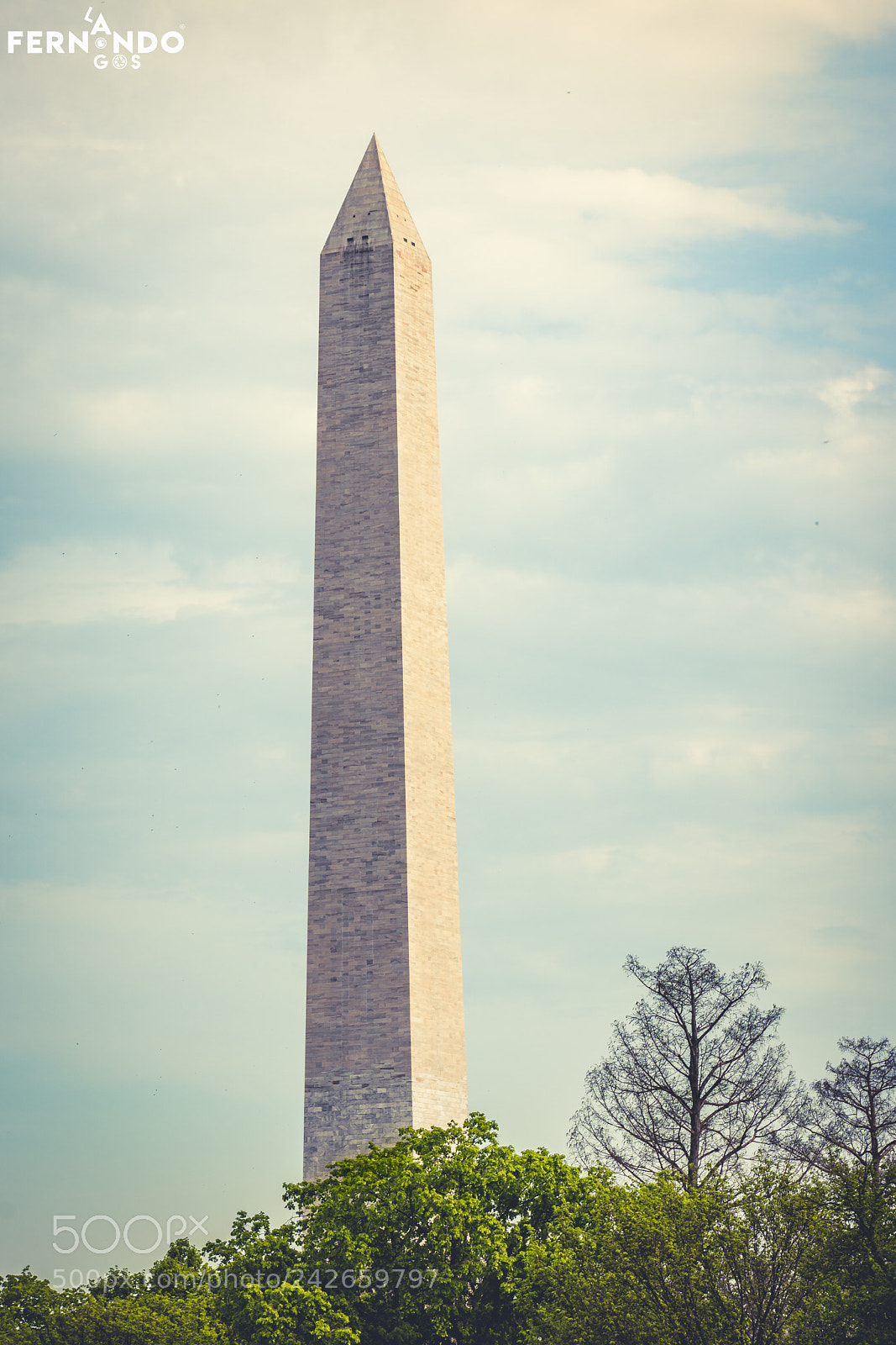 Nikon D7200 sample photo. Washington monument photography