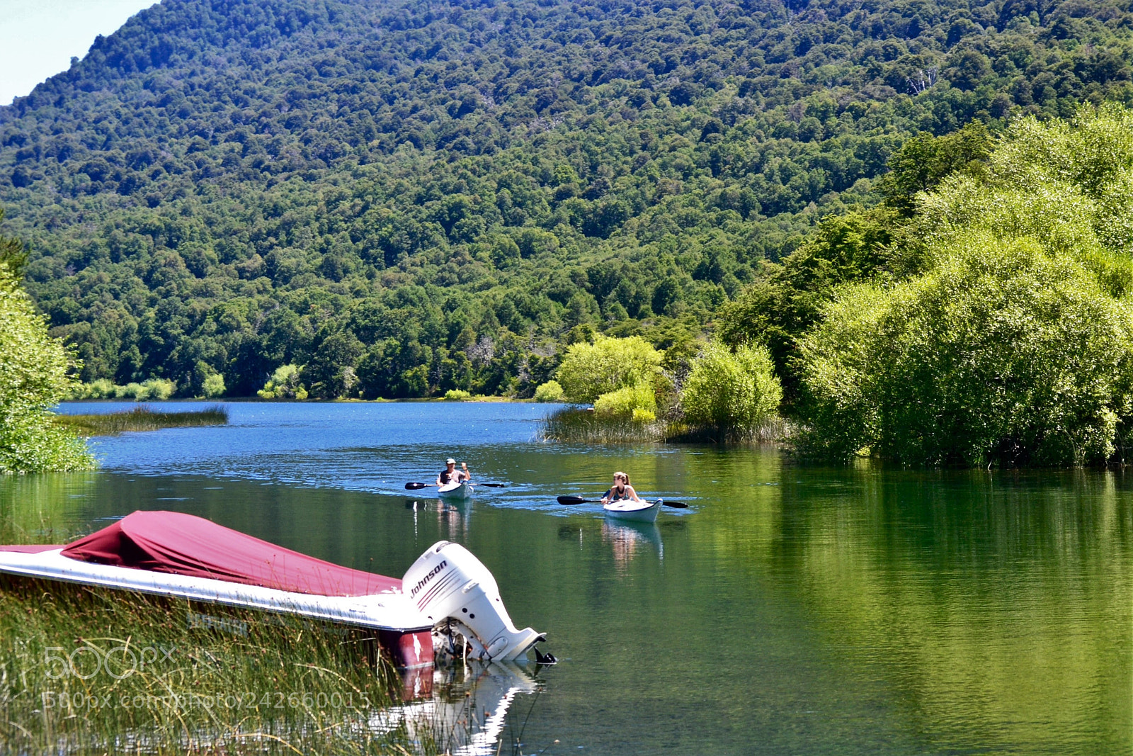Nikon D3100 sample photo. Untitled photography