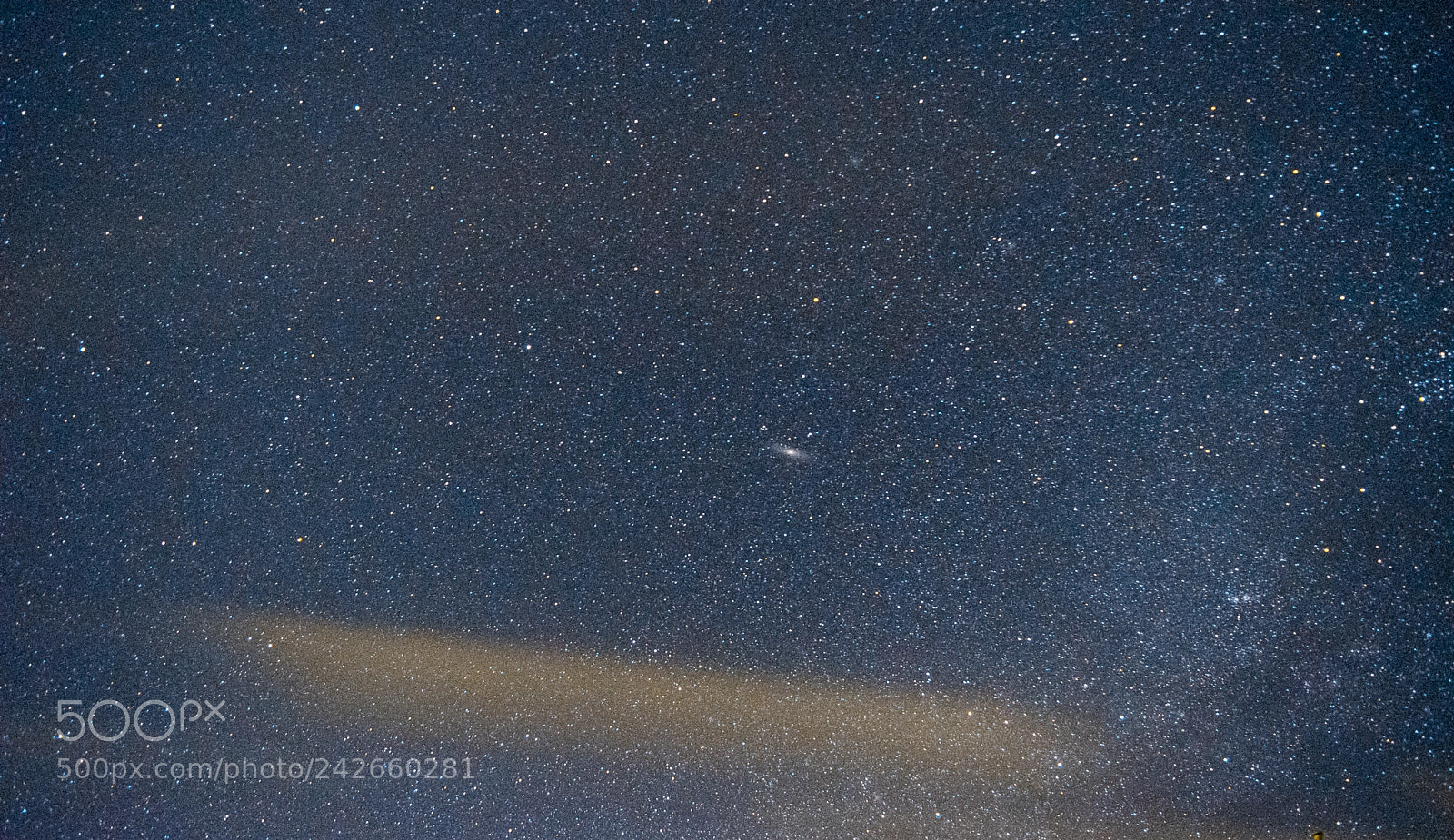 Nikon D5500 sample photo. Cosmos photography