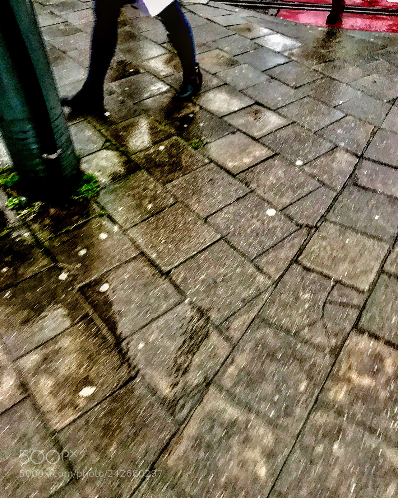 Apple iPhone 7 Plus sample photo. Untitled photography