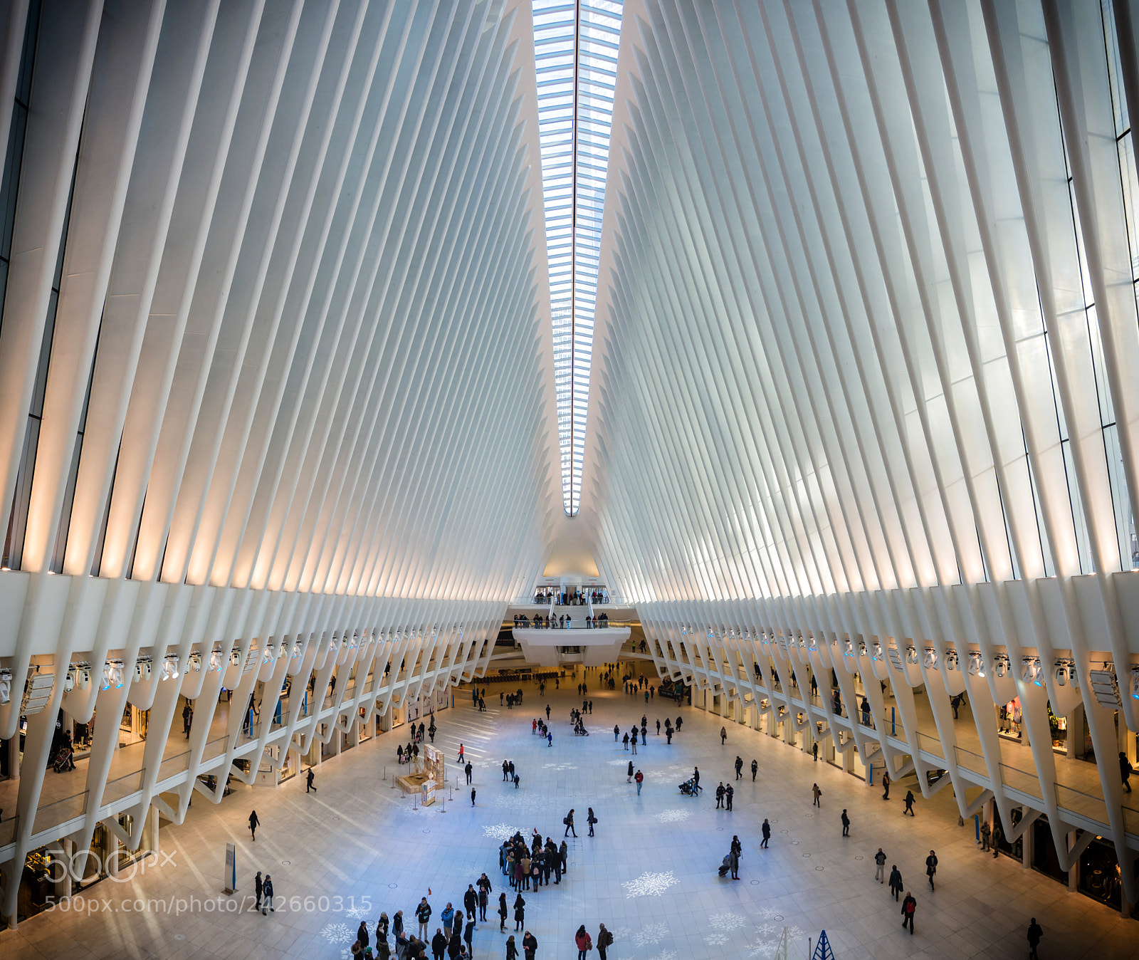 Nikon D7100 sample photo. The oculus photography
