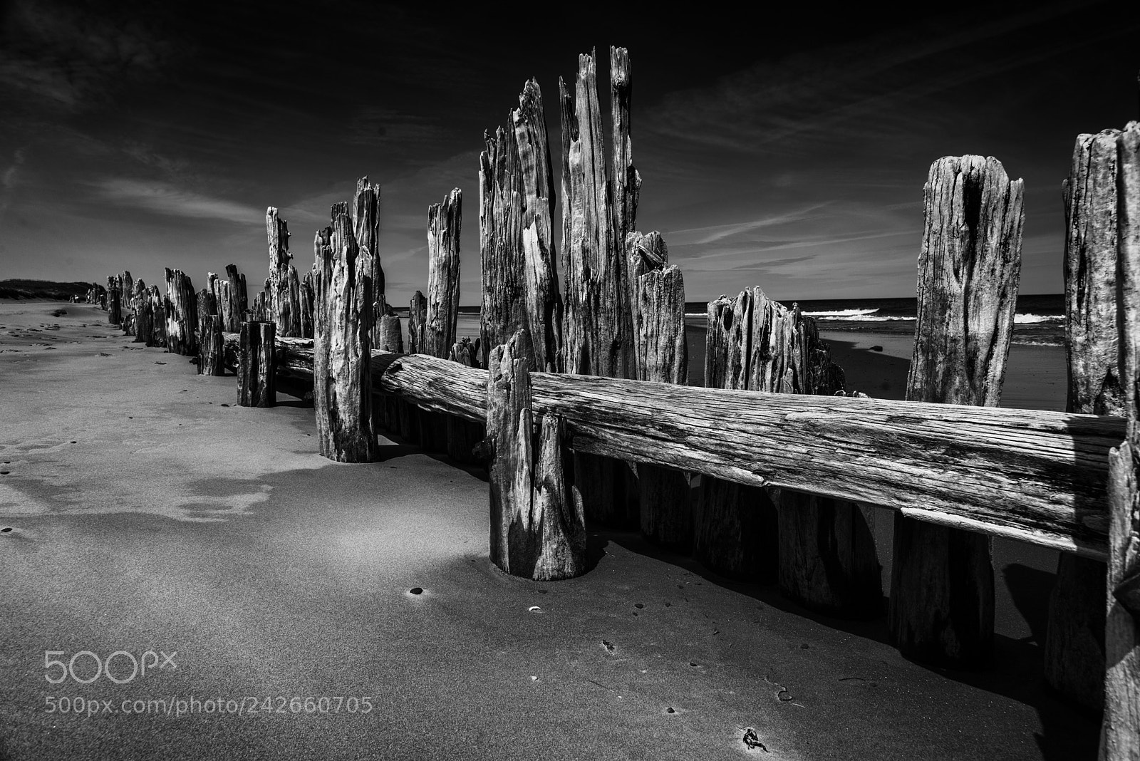 Nikon D800 sample photo. St. peter's harbour old photography