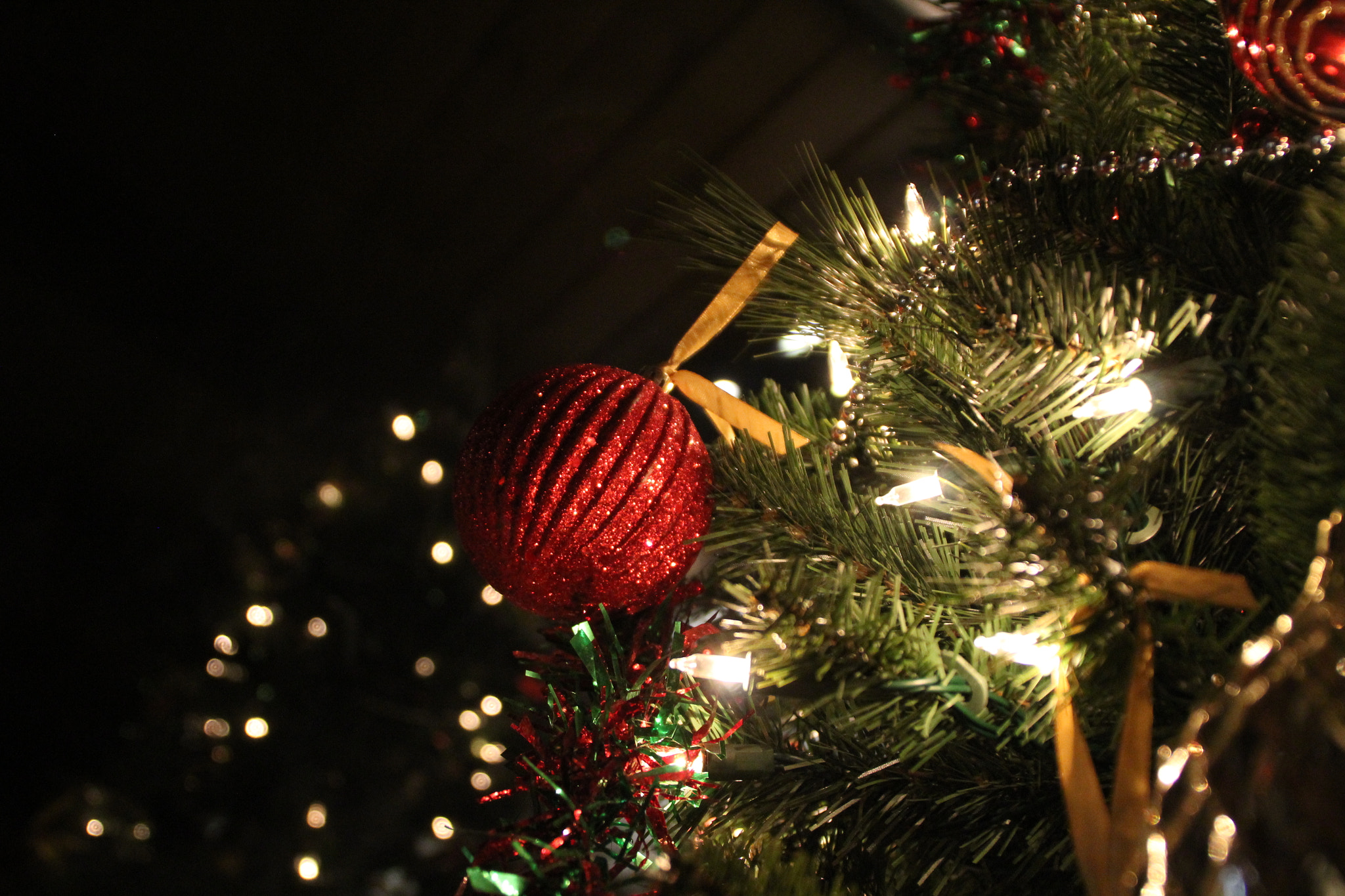 Canon EOS 1200D (EOS Rebel T5 / EOS Kiss X70 / EOS Hi) sample photo. Img photography