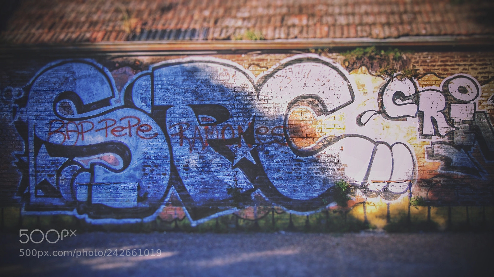 Sony Cyber-shot DSC-H300 sample photo. Grafitti photography