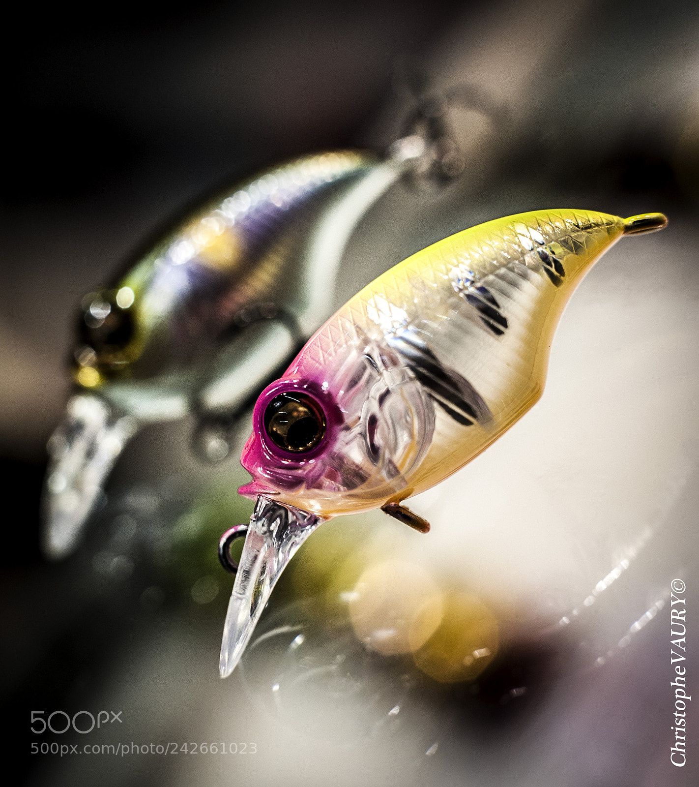 Nikon D3 sample photo. Ultimate fishing photography