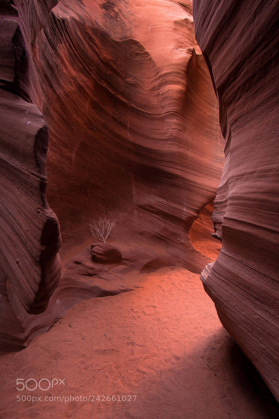 Canon EOS 7D Mark II sample photo. Owl canyon photography