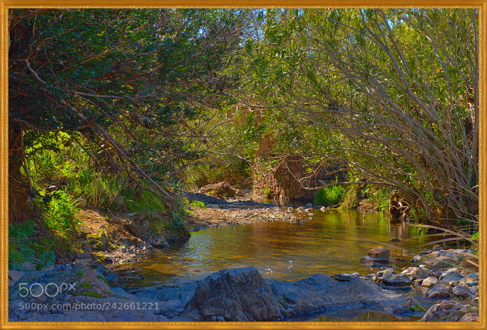 Nikon D700 sample photo. Linares, stream. photography