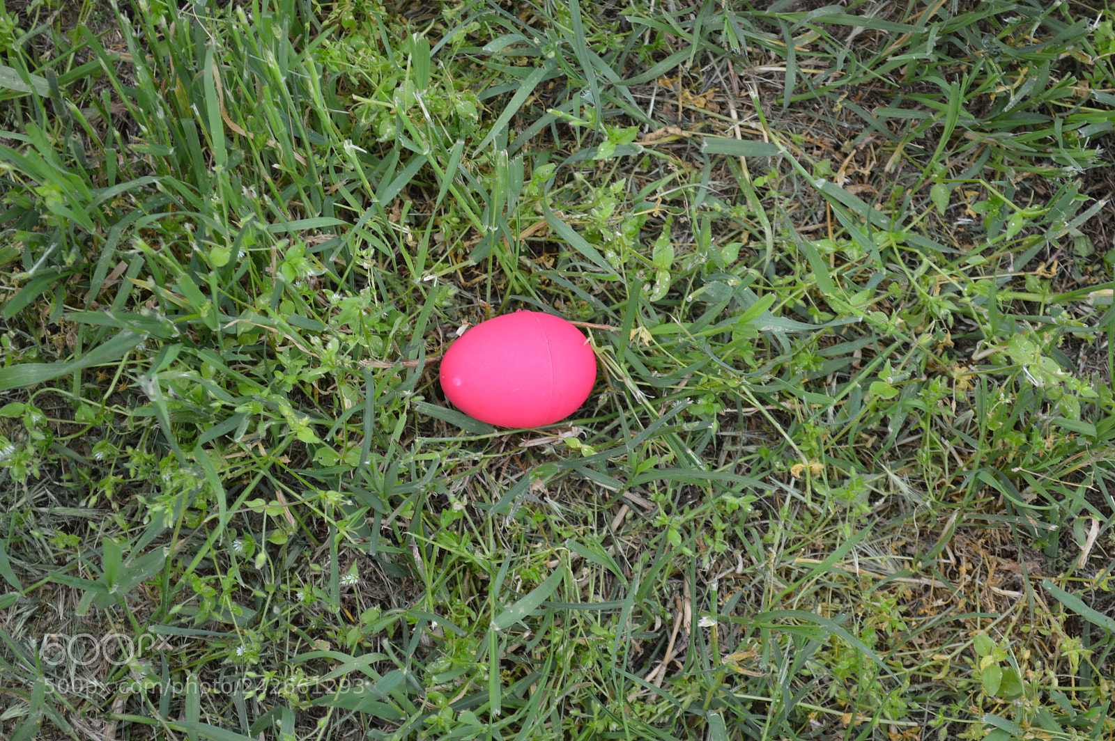 Nikon D3200 sample photo. Dsc photography