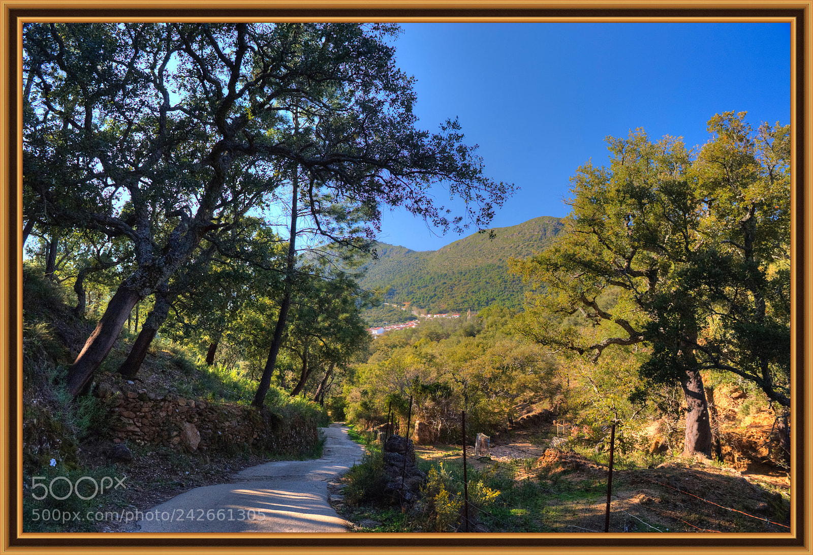 Nikon D700 sample photo. Linares. photography