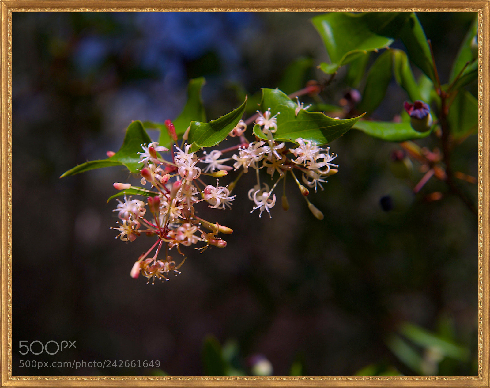 Nikon D700 sample photo. Linares, spain. photography