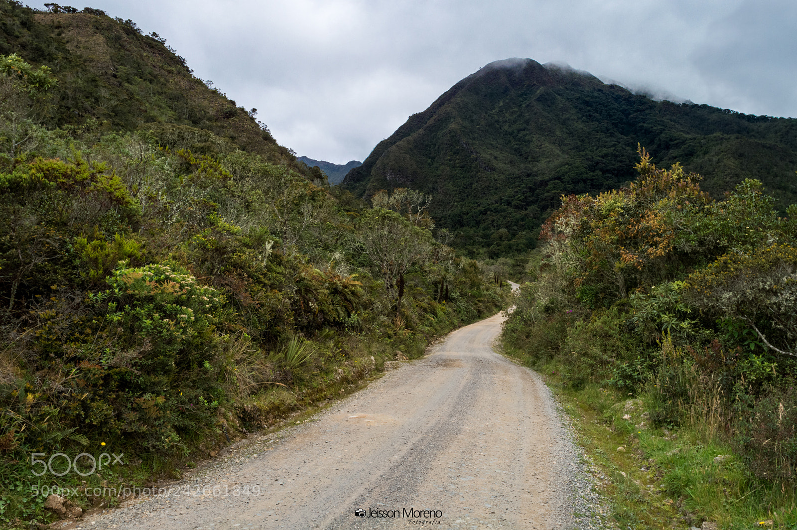 Nikon D3200 sample photo. Ruta hacia el agua photography
