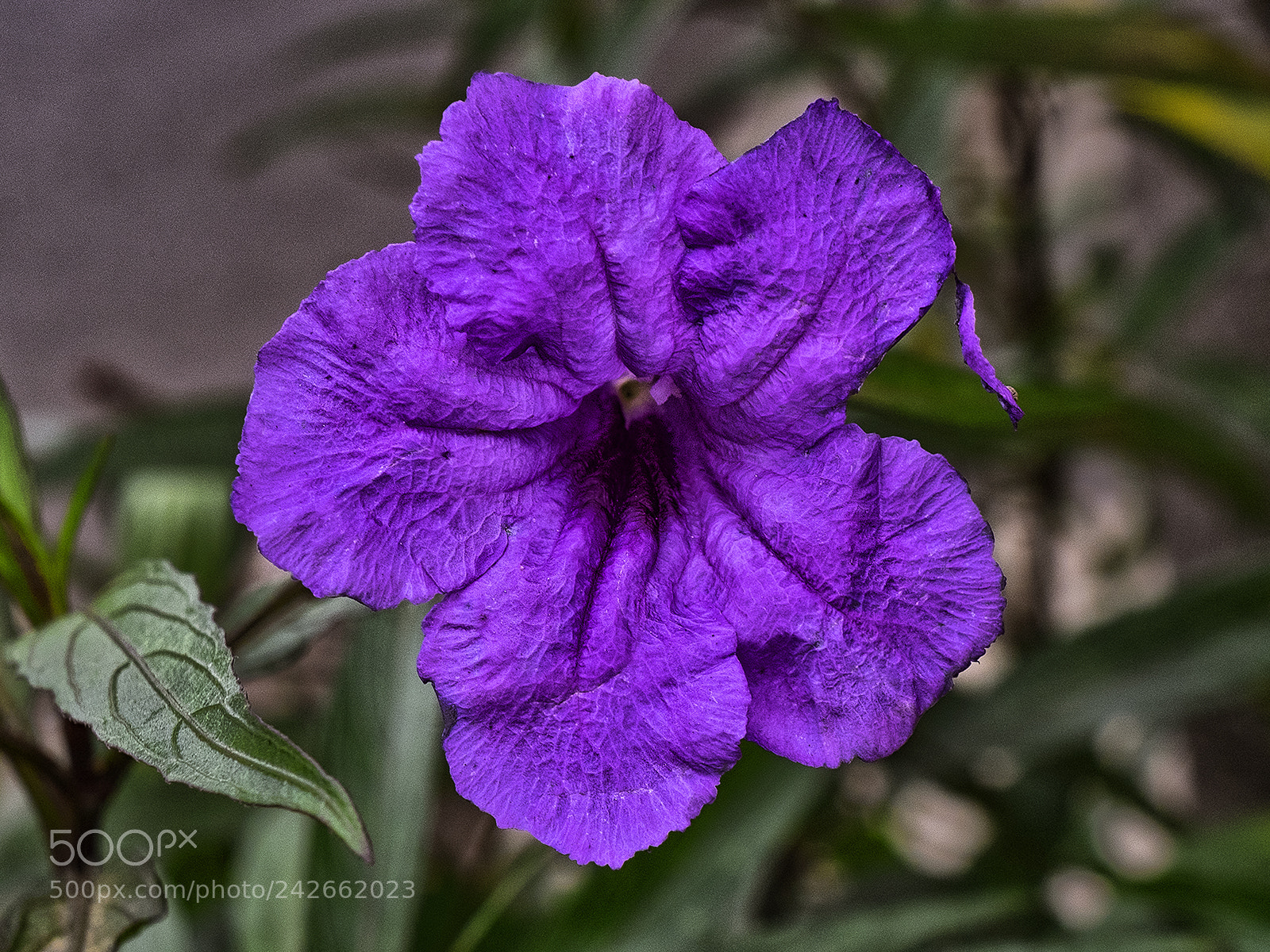 Fujifilm X-T1 sample photo. Aging # 3 photography