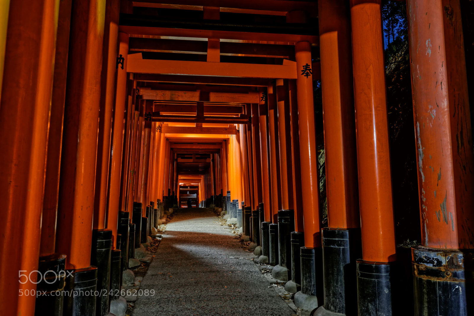 Nikon D800 sample photo. Japan px photography